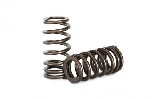 Kelford Barra Valve Springs